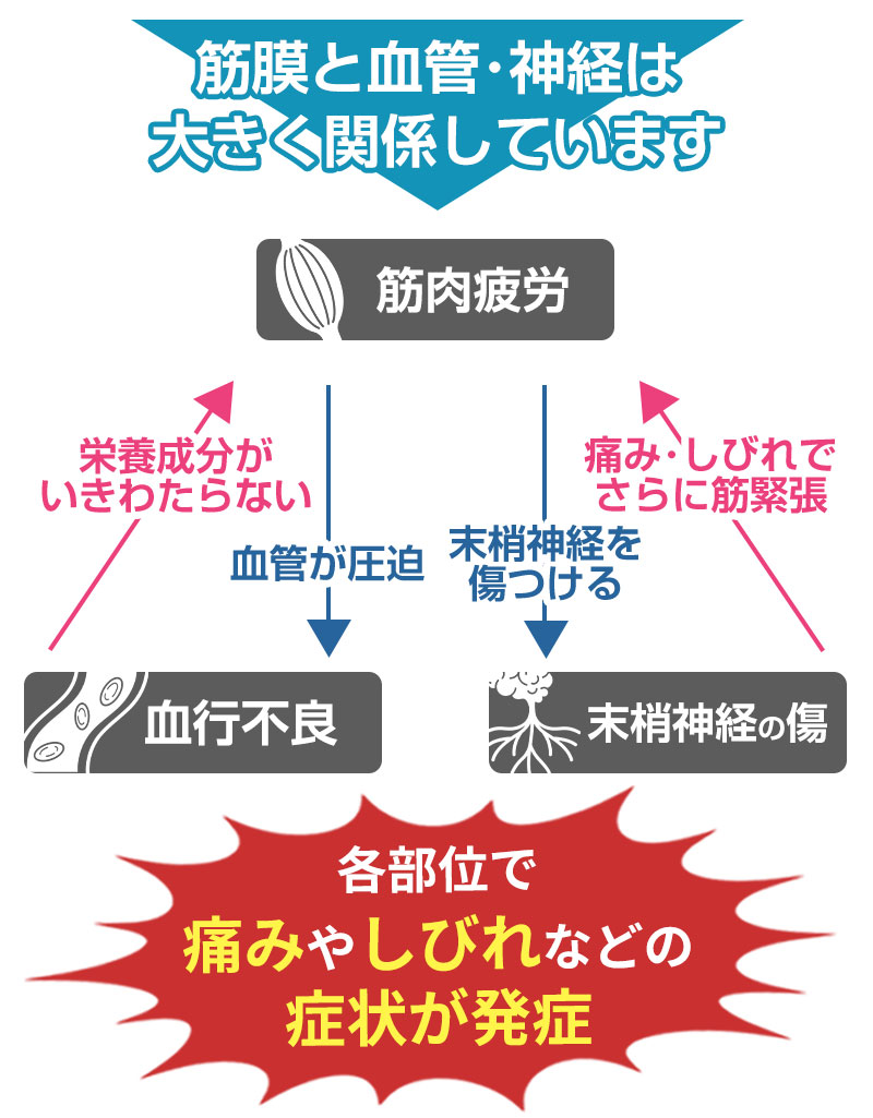 症状の本当の原因
